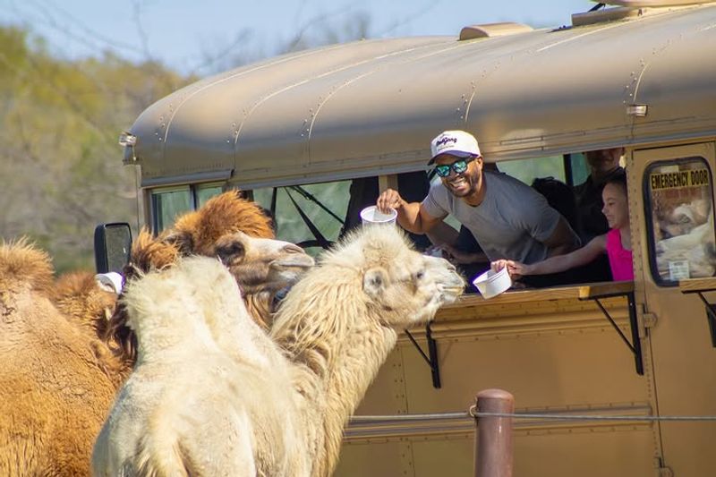 Wagon Tours With Guides