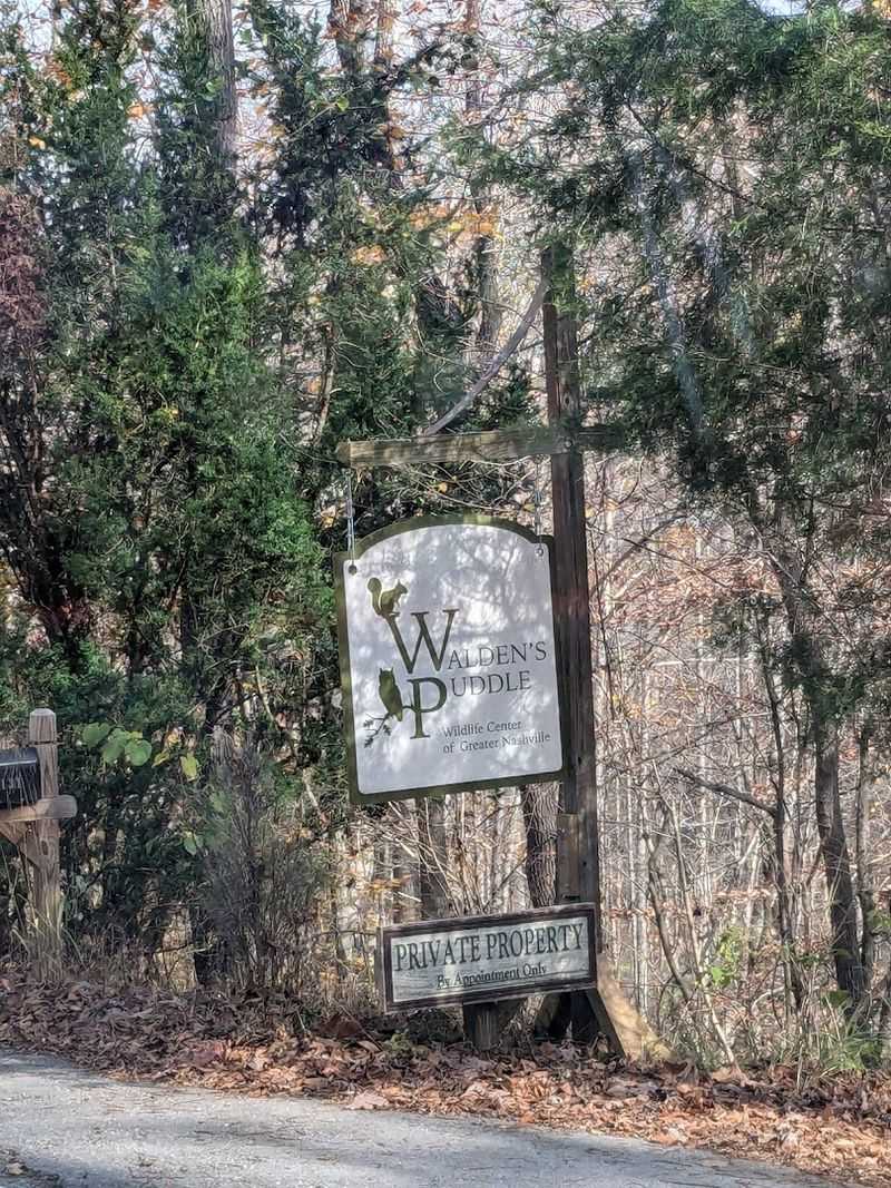 Walden's Puddle — Joelton