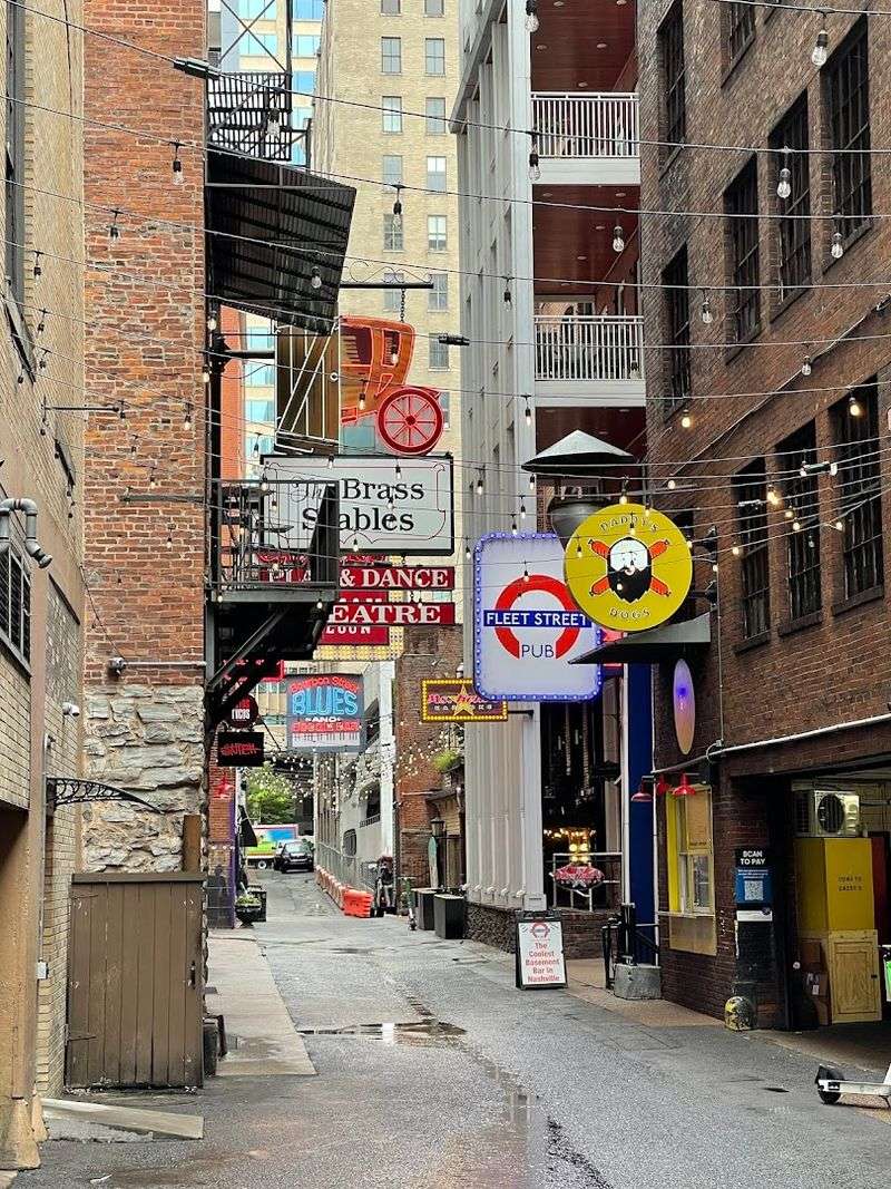 Walkin' Nashville — Nashville