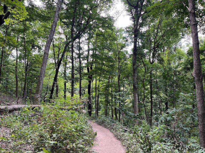 Warner Woods Trail — Nashville