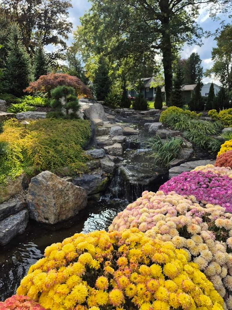 Water Features and Quiet Corners Water Features and Quiet Corners