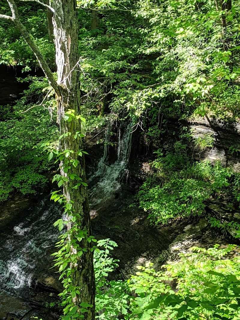 Waterfalls, Forest Trails, And Quiet Pull-Offs Along The Way Waterfalls, Forest Trails, And Quiet Pull-Offs Along The Way