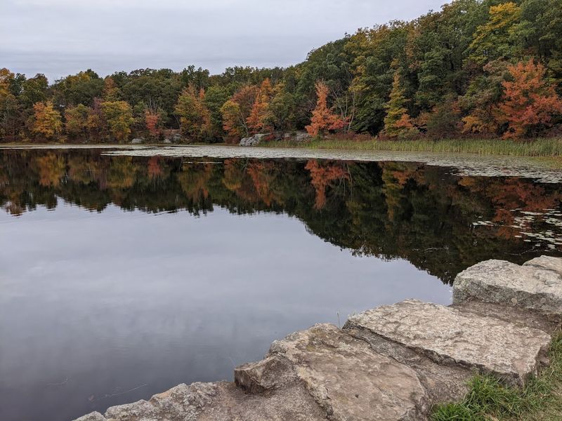 Wawayanda State Park