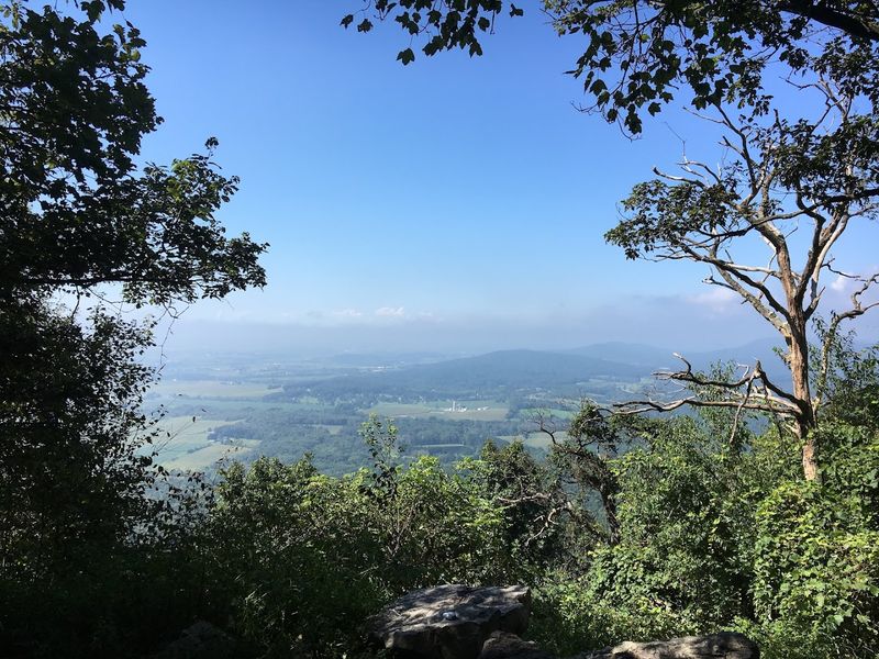 Weiser State Forest
