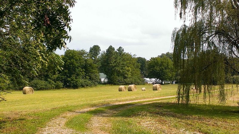 Welcome to Mulberry Lavender Farm and B&B, a Peaceful Hideaway in Small-Town Tennessee Welcome to Mulberry Lavender Farm and B&B, a Peaceful Hideaway in Small-Town Tennessee