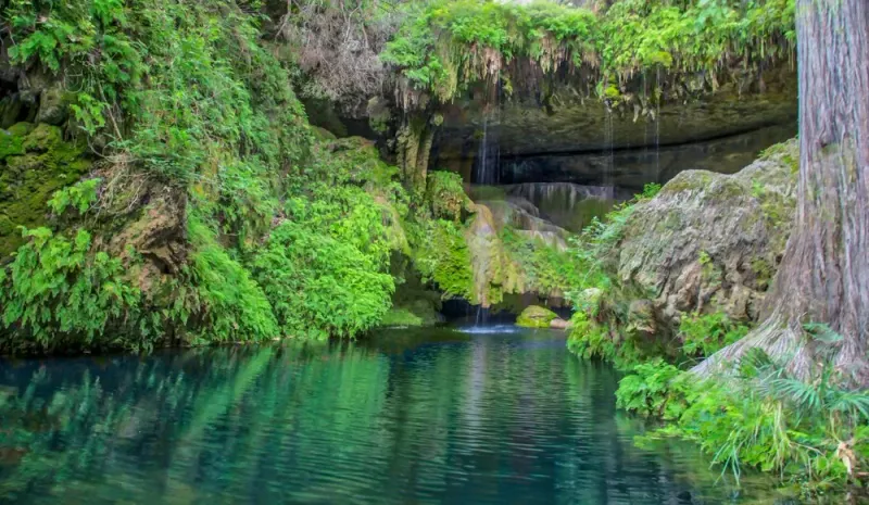 Westcave Preserve Waterfall (Round Mountain) Westcave Preserve Waterfall (Round Mountain)