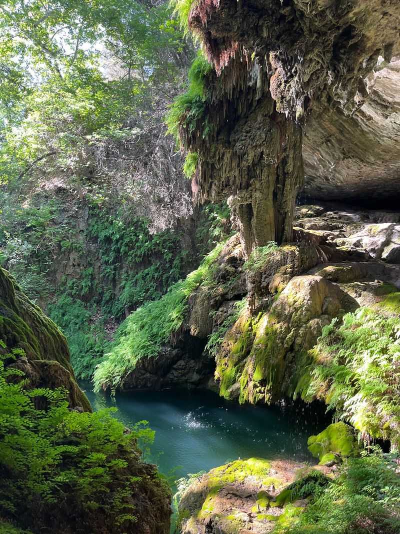 Westcave Preserve Waterfall (Westcave Outdoor Discovery Center)