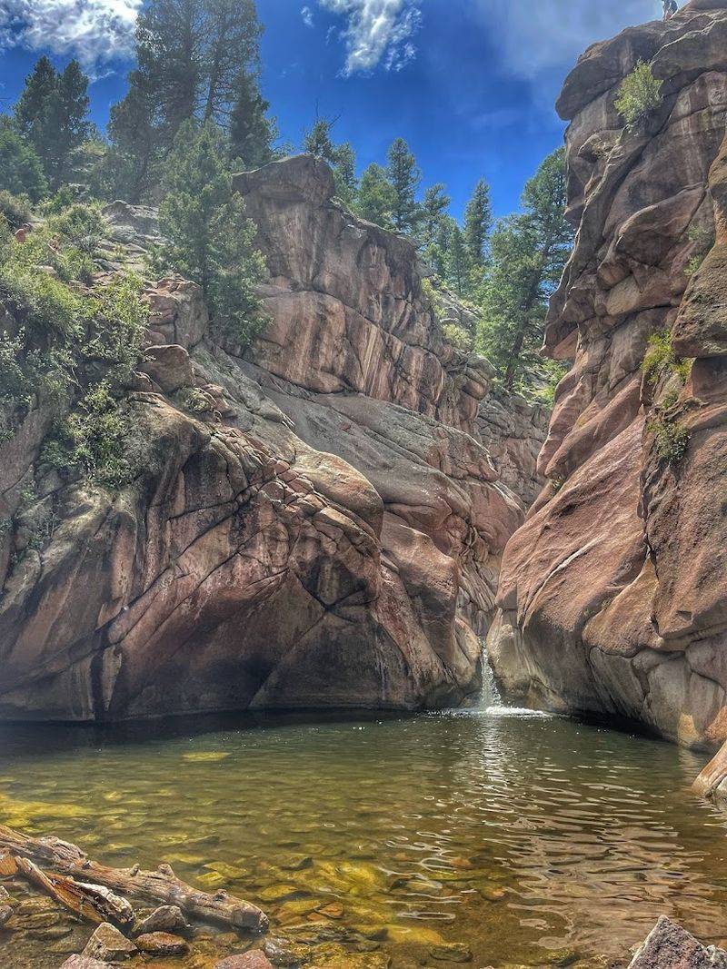 What Awaits at the Swimming Hole