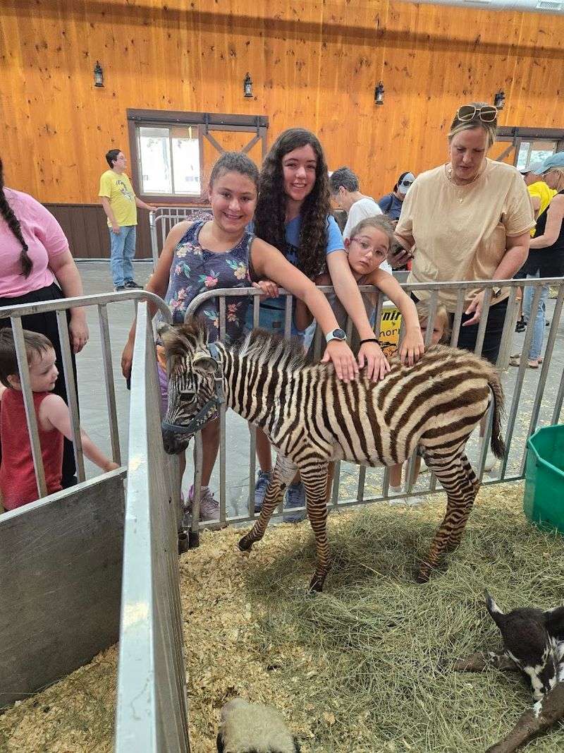 What Families With Young Kids Actually Experience Here What Families With Young Kids Actually Experience Here