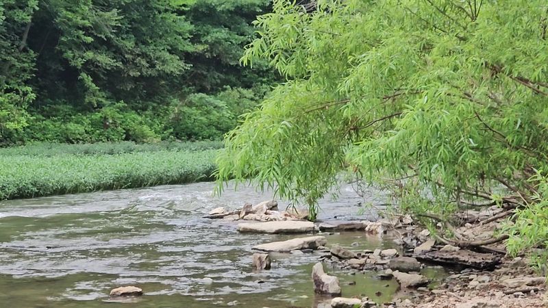 What Makes Harpeth River State Park Worth the Trip What Makes Harpeth River State Park Worth the Trip