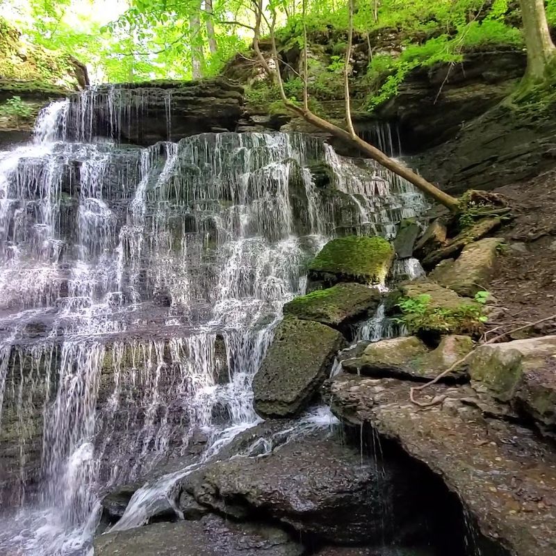 What Makes Machine Falls Look So Magical in Person
