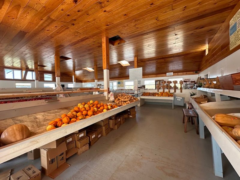 What Makes Mennonite Markets Feel So Different