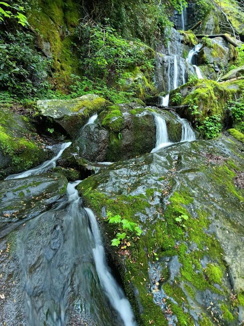 What Makes This Cascading Waterfall Different From the Big, Roaring Falls What Makes This Cascading Waterfall Different From the Big, Roaring Falls