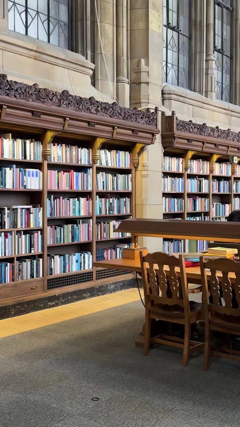 What Makes This Library Worth Seeking Out