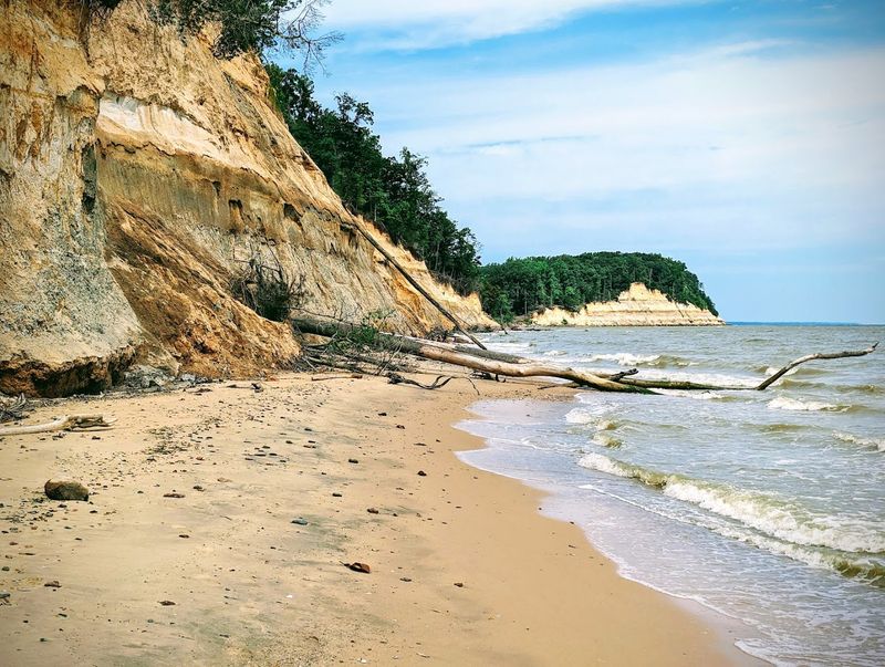 What Shark Tooth Hunting Is Really Like Here What Shark Tooth Hunting Is Really Like Here