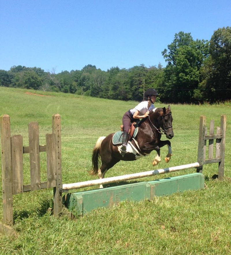 What To Know Before Booking Your Tennessee Ranch Getaway