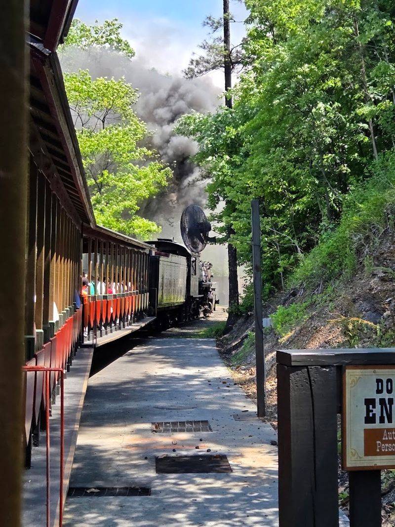What To Know Before Riding The Dollywood Express