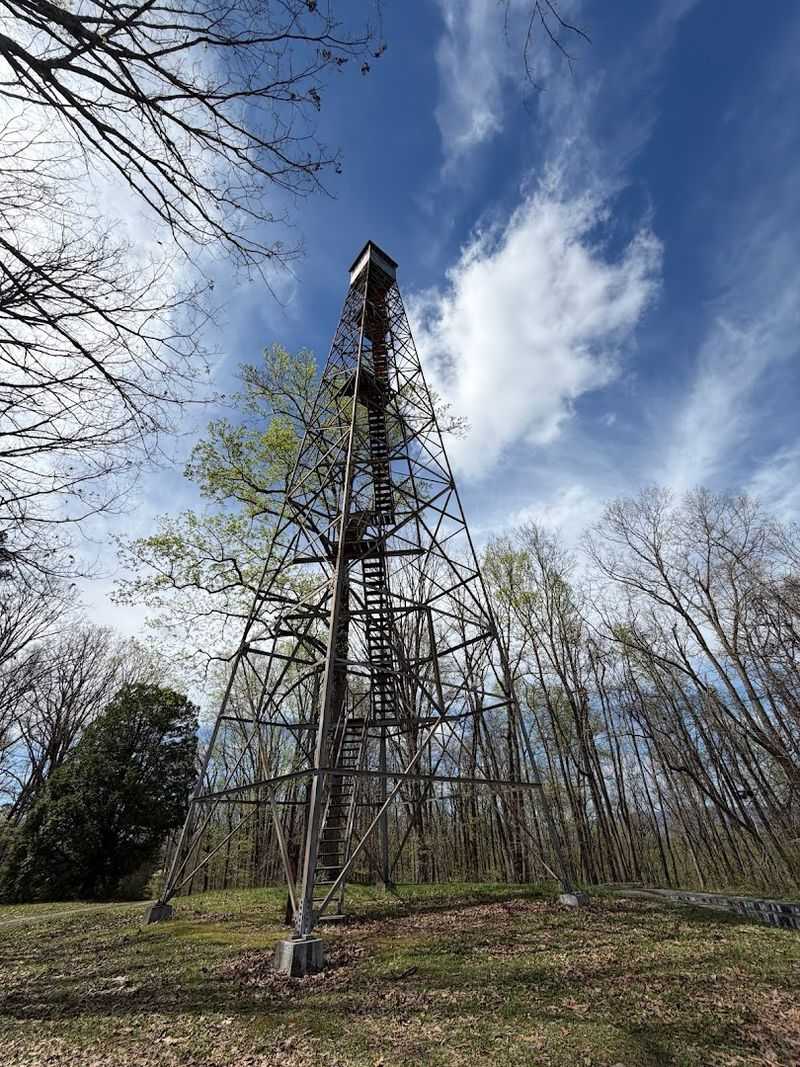 What To Know Before Visiting Chuck Swan State Forest