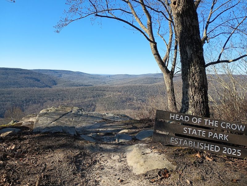 What Visitors Can Expect When Exploring The Park What Visitors Can Expect When Exploring The Park