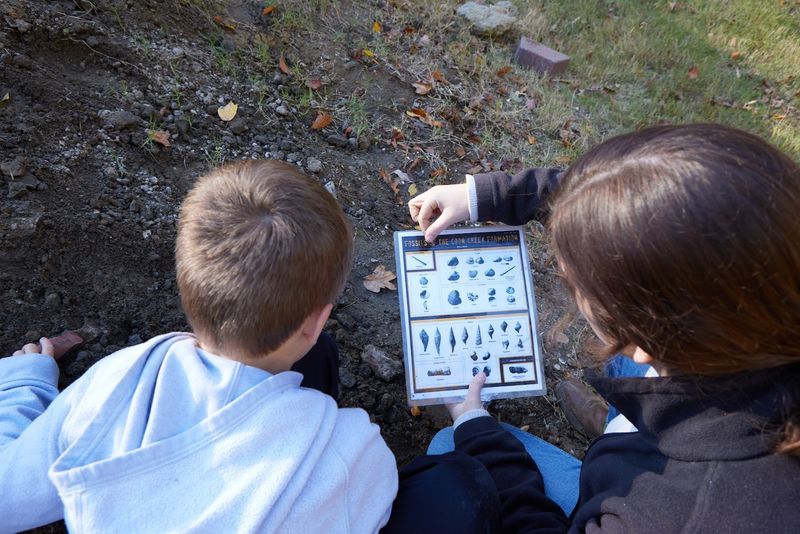 What Visitors Can Learn at Coon Creek Science Center What Visitors Can Learn at Coon Creek Science Center