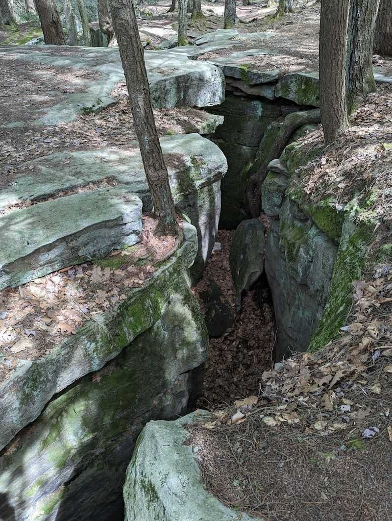 What Visitors Say the Experience Feels Like