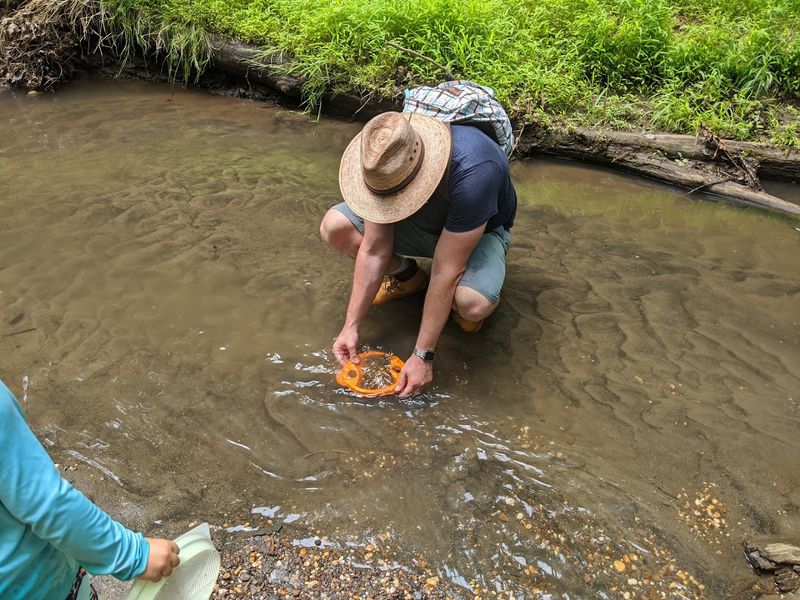 What You Might Find In The 72 Million Year Old Fossil Beds