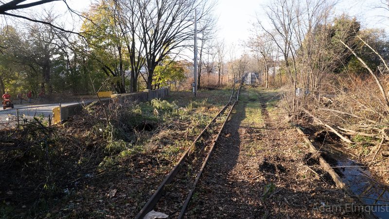 What the 1983 Fire Left Behind