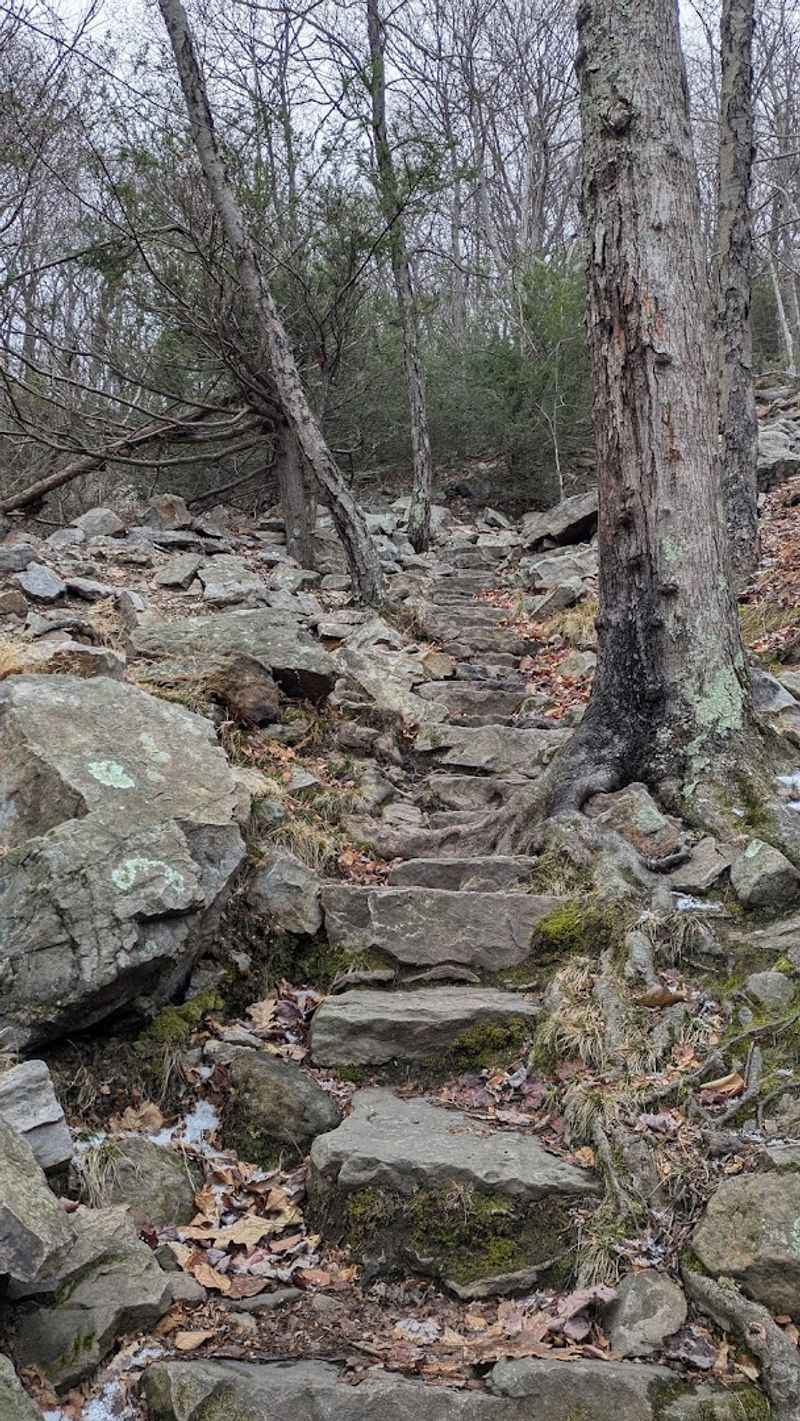 What the Climb Actually Feels Like