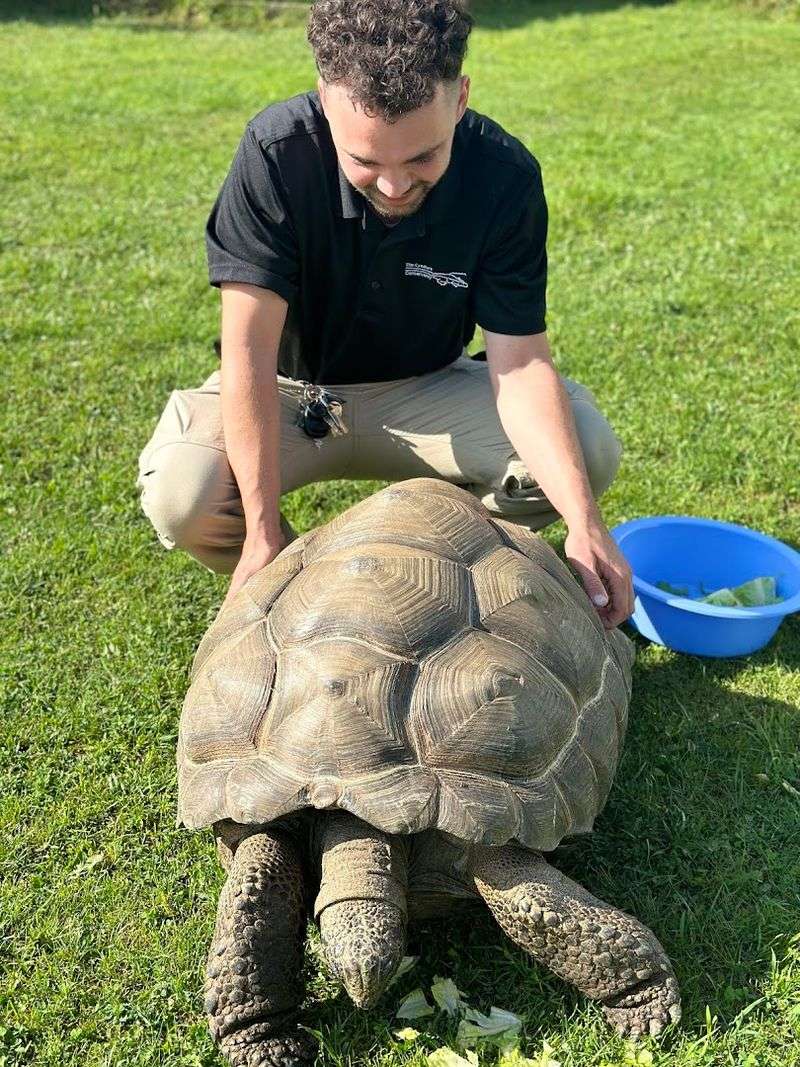 What the Staff Actually Know About These Animals