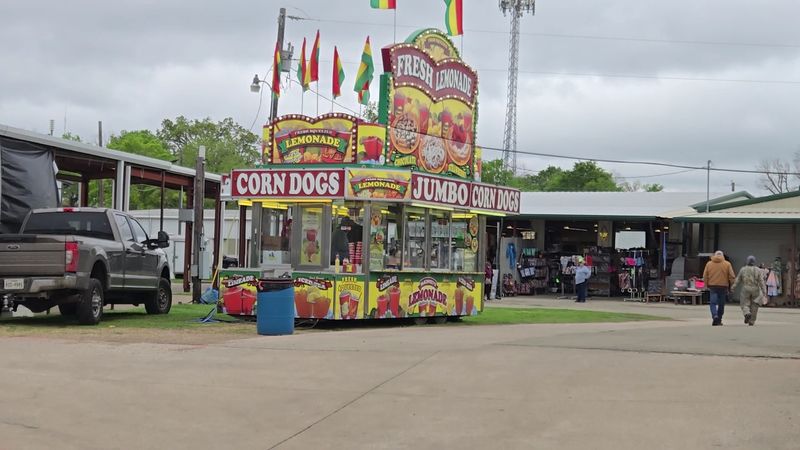 What to Eat: Barbecue, Corn Dogs, Lemonade, and Treats