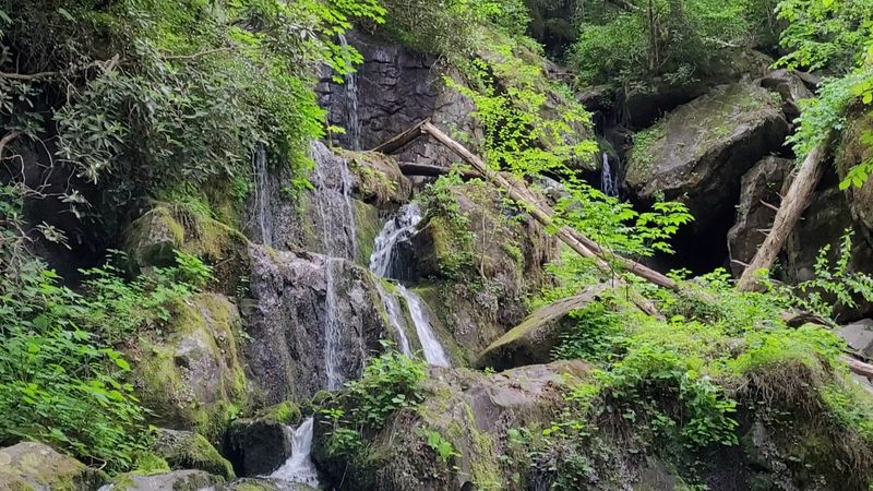 What to Know Before You Go to This Peaceful Tennessee Waterfall What to Know Before You Go to This Peaceful Tennessee Waterfall