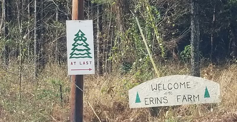 What to Know Before You Visit Erin's Farm