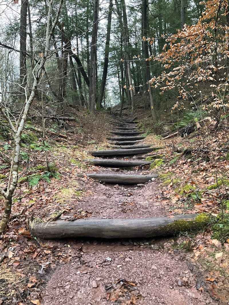 What to Know Before You Walk This Rocky Ravine