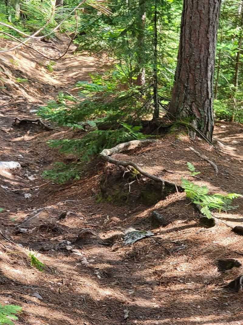 What to Pack for the Hike