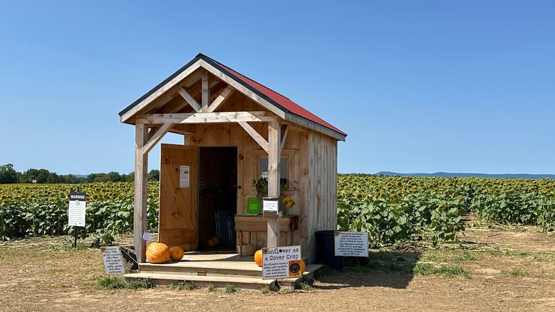 What to know before you go to Lesher's Poultry Farm What to know before you go to Lesher's Poultry Farm