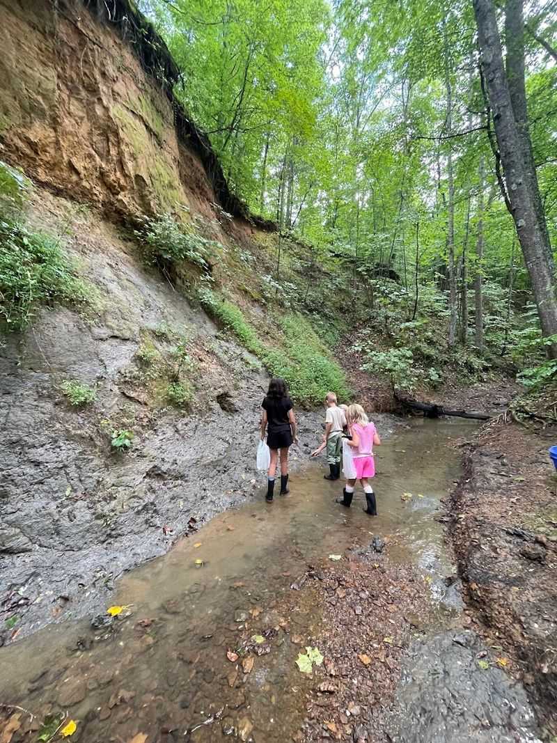 When West Tennessee Was Covered by Water When West Tennessee Was Covered by Water