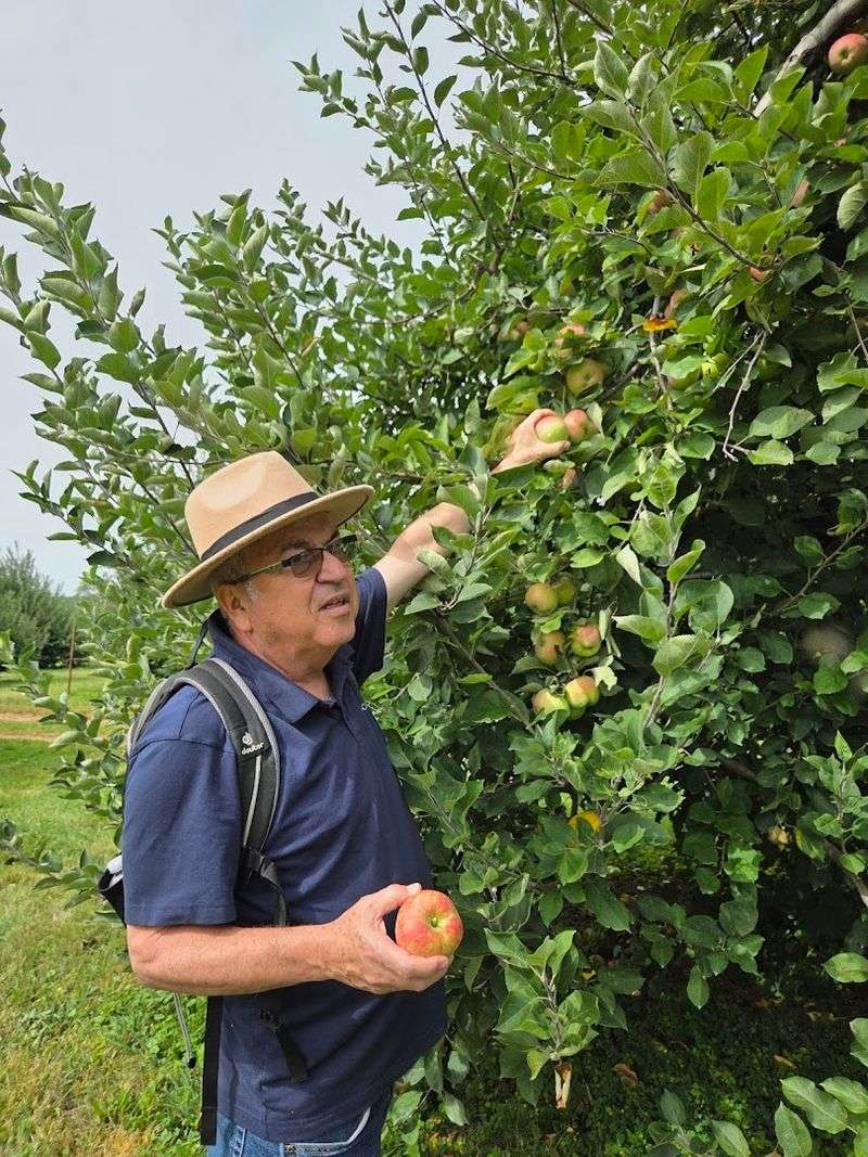 When to Visit Before the Best Apples Are Picked Over