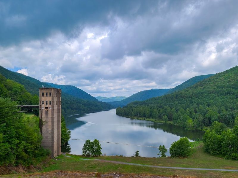 When to Visit for Your Best Chance