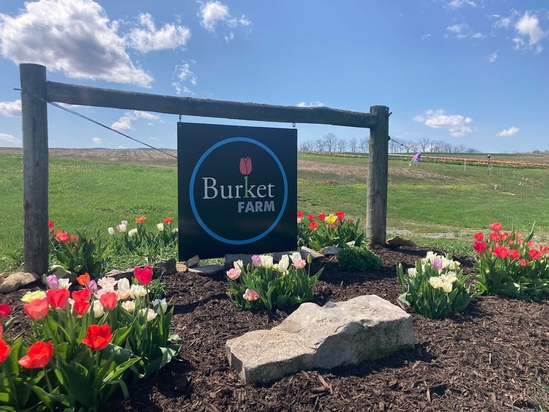 Where Burket Farm Is Located