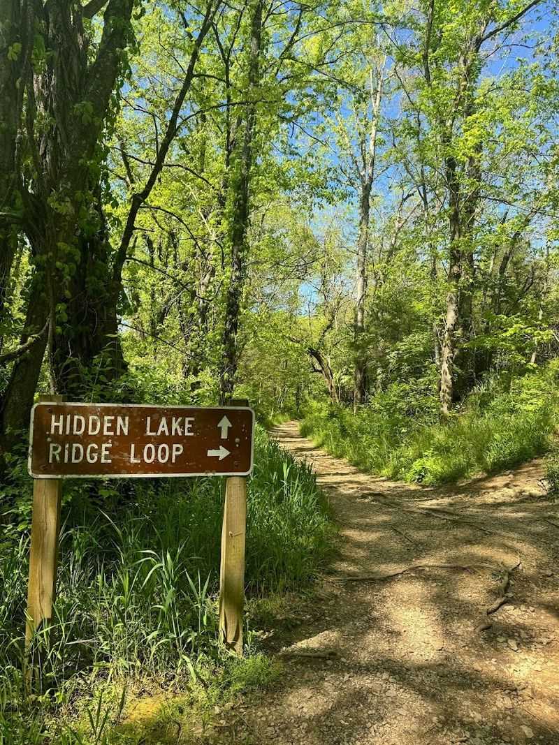 Where to Find Hidden Lake at Harpeth River State Park Where to Find Hidden Lake at Harpeth River State Park