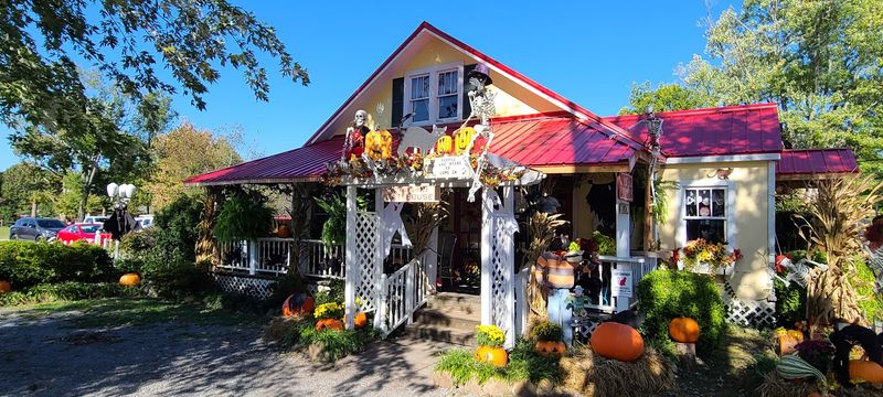 Where to Find It in the Historic Old Mill Area Where to Find It in the Historic Old Mill Area