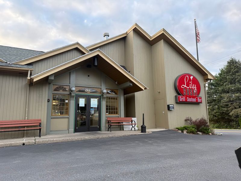 Who will enjoy Lily Sushi Grill most