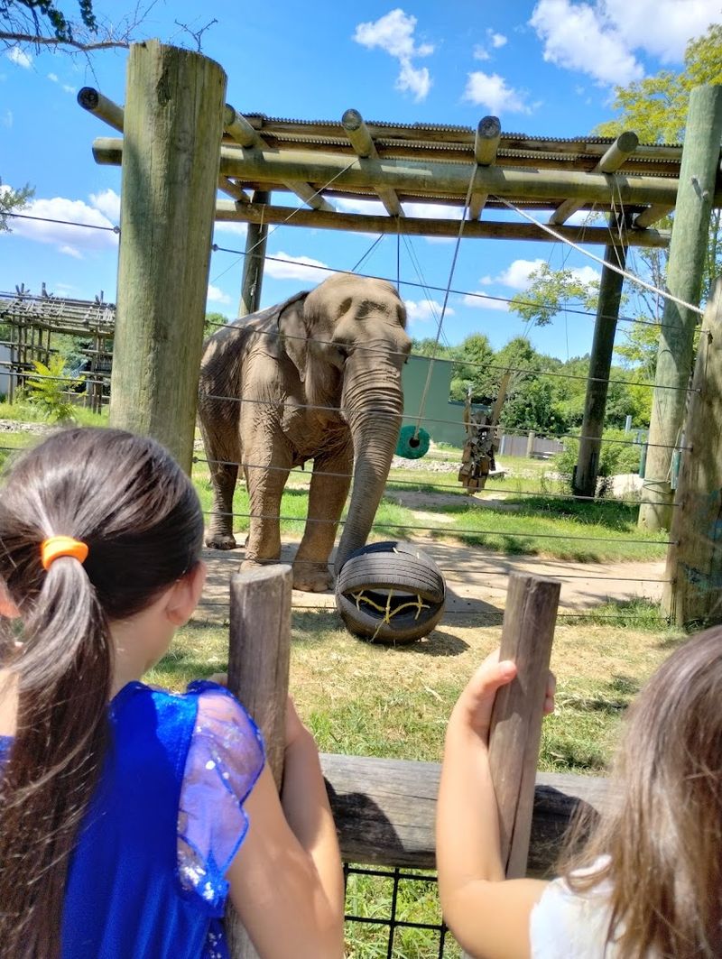 Why Buttonwood Park Zoo Stands Out