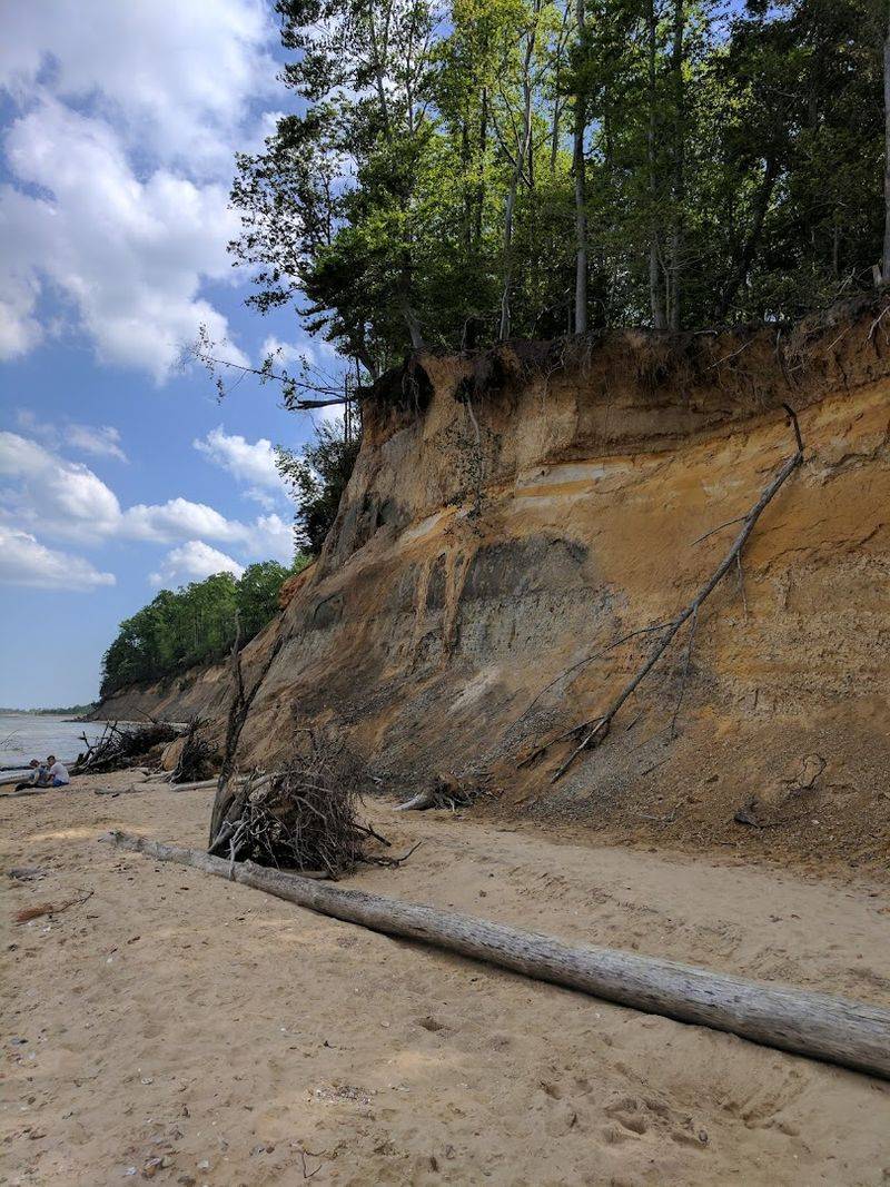 Why Calvert Cliffs Feels Like a Fossil Hunter's Paradise Why Calvert Cliffs Feels Like a Fossil Hunter's Paradise