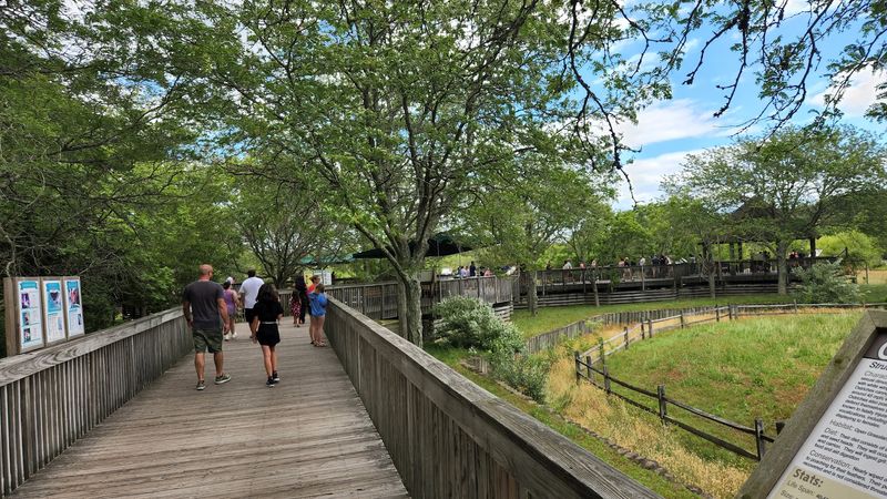 Why Cape May County Park and Zoo Is Such a Rare New Jersey Bargain