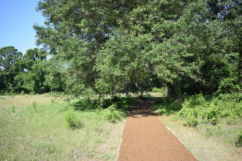 Why Castle Pinckney Stays With You
