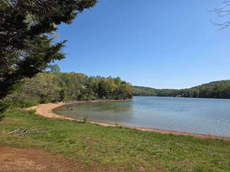 Why Chuck Swan State Forest Is A Favorite For Fishing Near Norris Lake