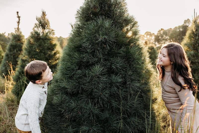 Why Erin's Farm Belongs on Your Tennessee List