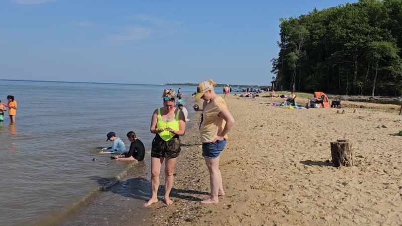 Why Families, Beginners, and Dog Owners Love It Why Families, Beginners, and Dog Owners Love It