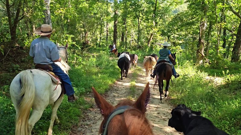 Why Families, Couples, and Nature Lovers All Love This Getaway